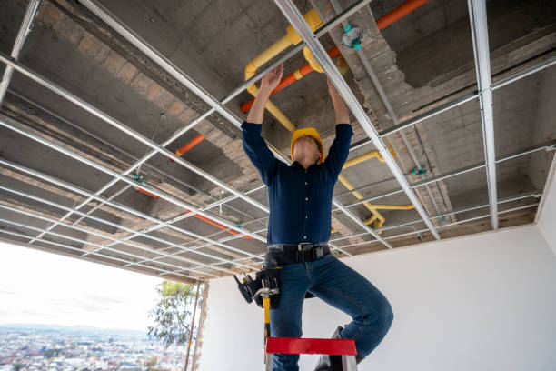Best Local Plumber Services  in Burgaw, NC